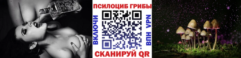 Галлюциногенные грибы GOLDEN TEACHER маркетплейс как зайти Дюртюли