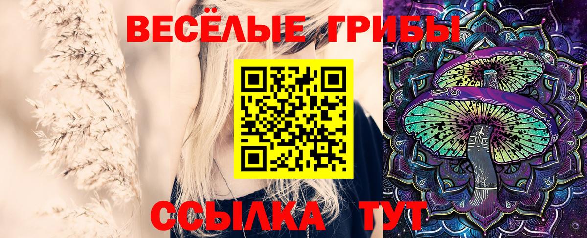Галлюциногенные грибы MAGIC MUSHROOMS Дюртюли