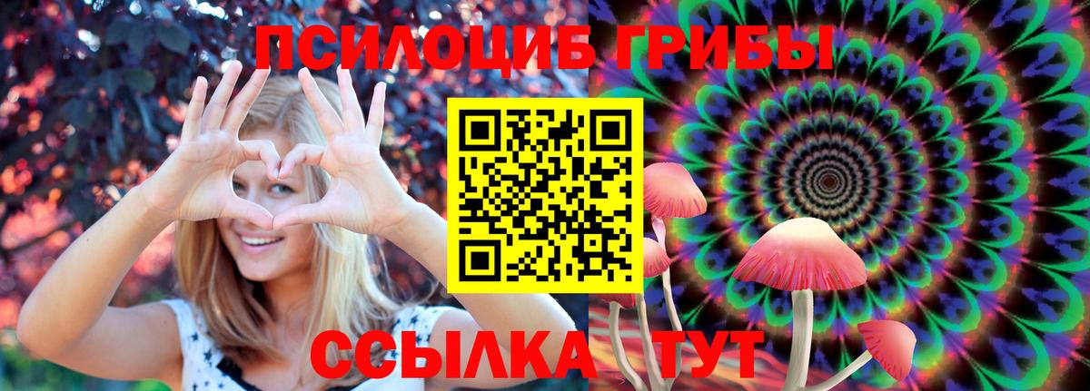 Дюртюли  Галлюциногенные грибы Cubensis  Галлюциногенные грибы ЛСД  Вход с VPN 
